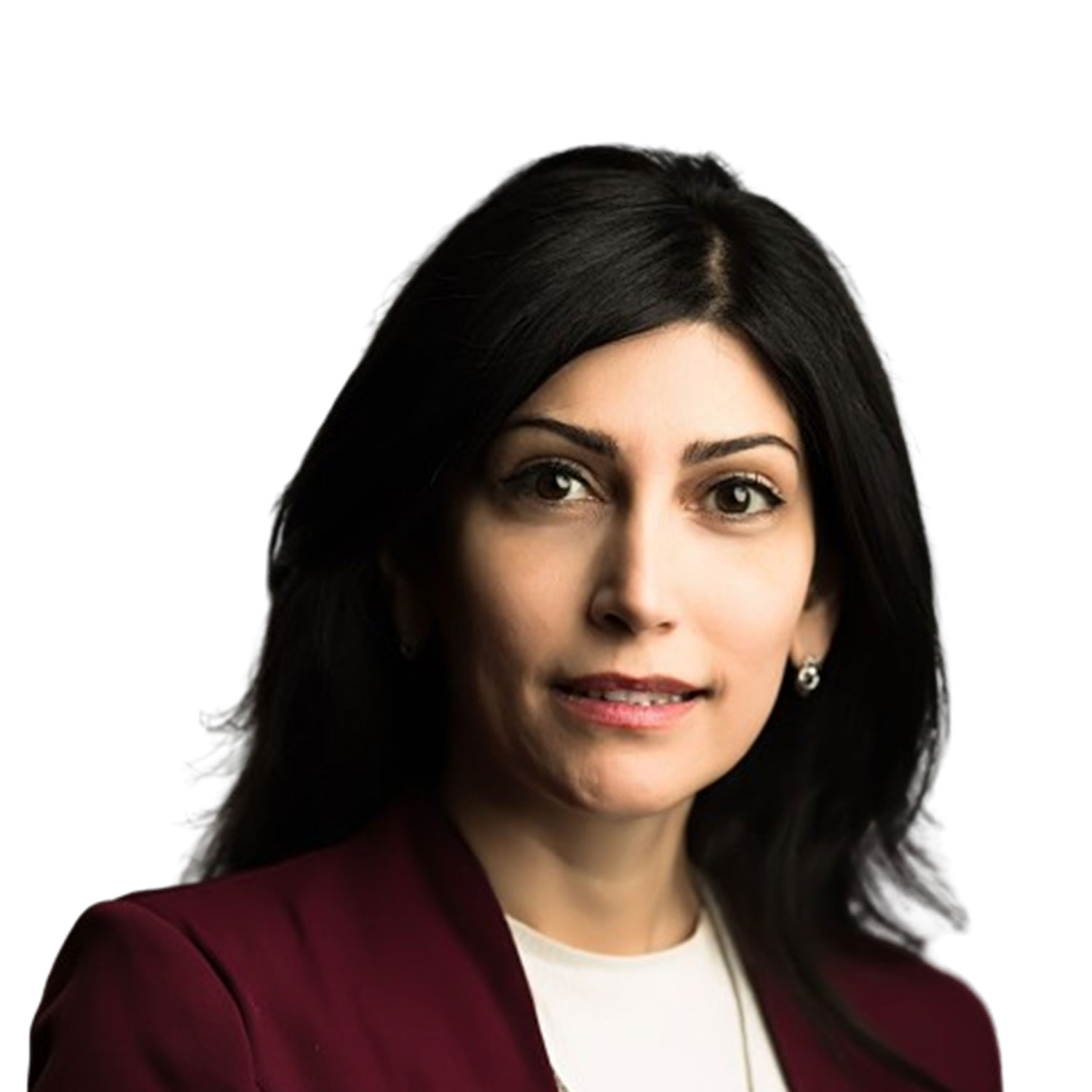Anahita Rabii, Ph.D.-Global cleantech business directory team member speaker Renewable Energy Green Chemistry Natural Resources New approaches to municipal waste minimization, renewable energy utilization, and carbon footprint reduction